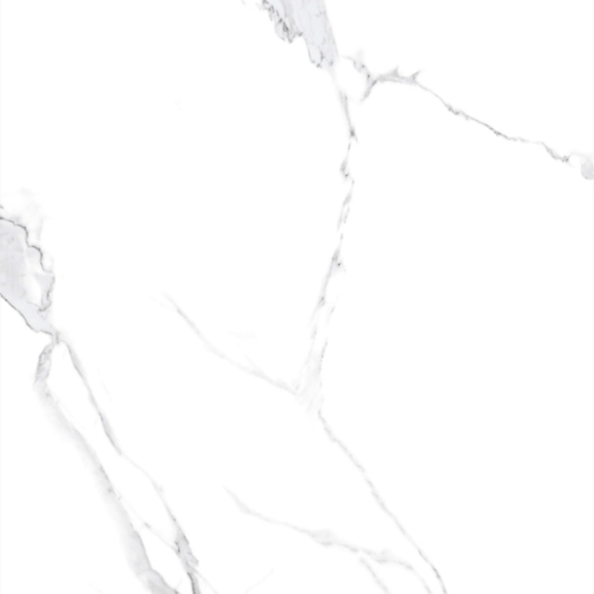 Calacatta White in Satin Matte 24x48 Tile