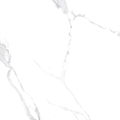 Calacatta White in Satin Matte 24x48 Tile