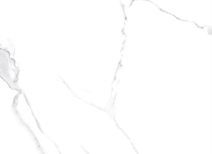 Calacatta White in Polished 24x48