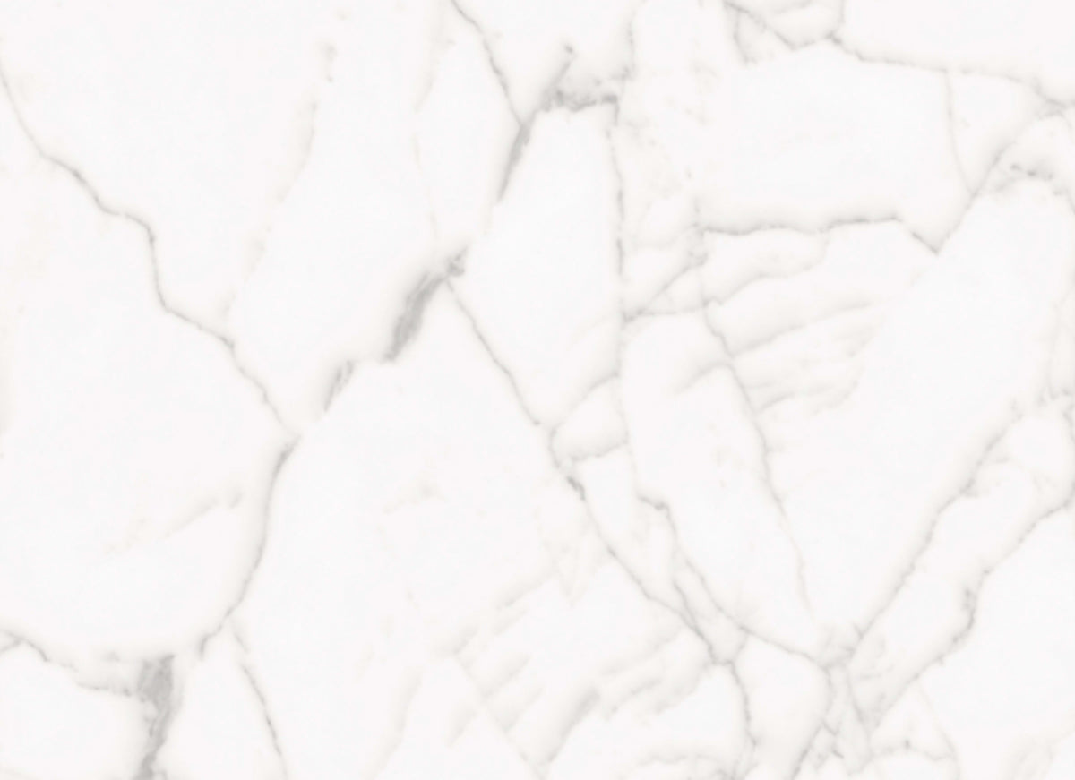 Core in White 24x48