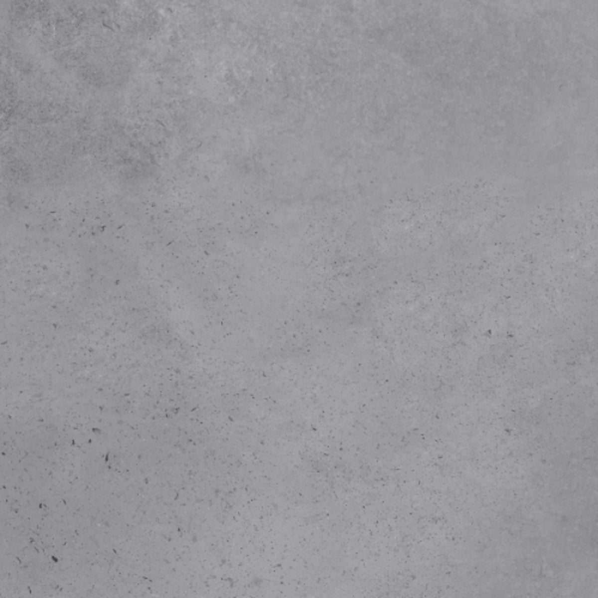 Earth in Grey 24x48 Tile