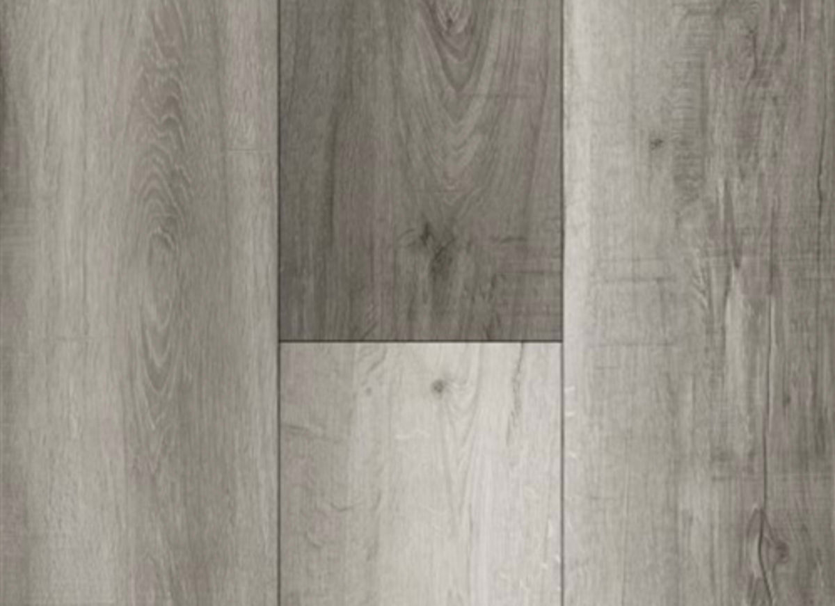 Majestic Plank in Dakota