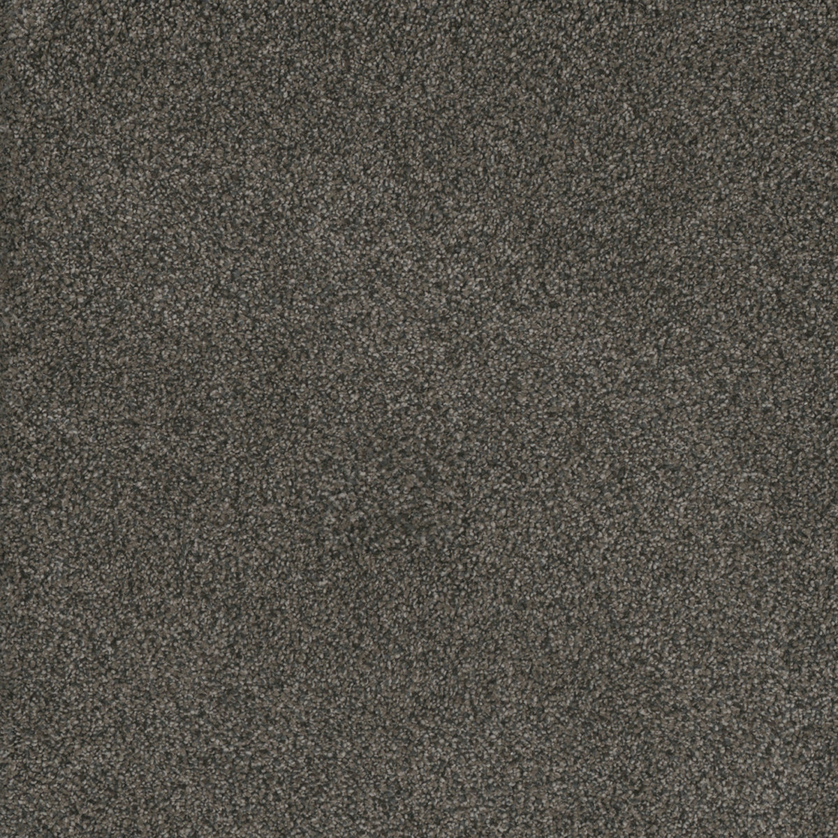 MONTE CARLO I in Burnt Amber Carpet