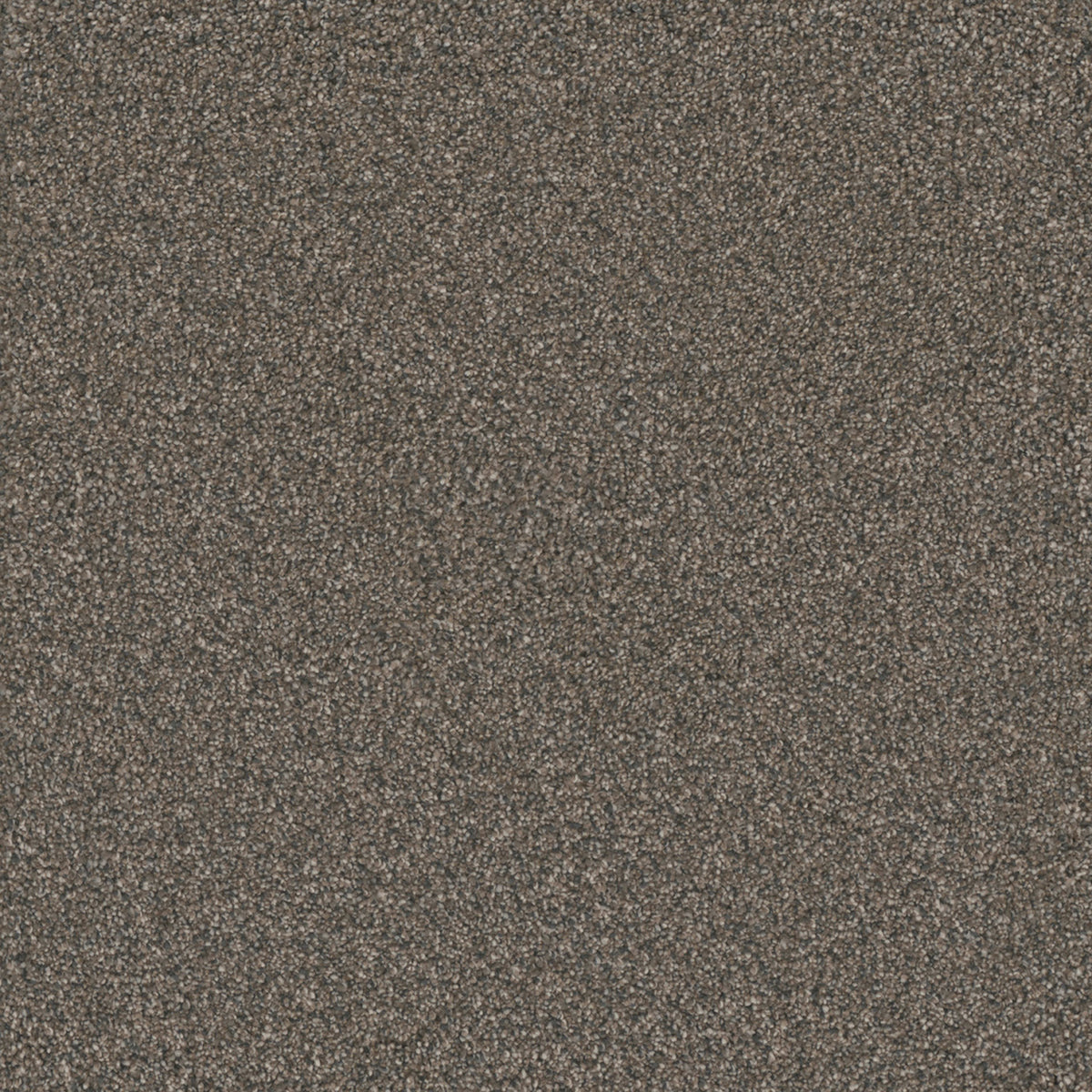 MONTE CARLO I