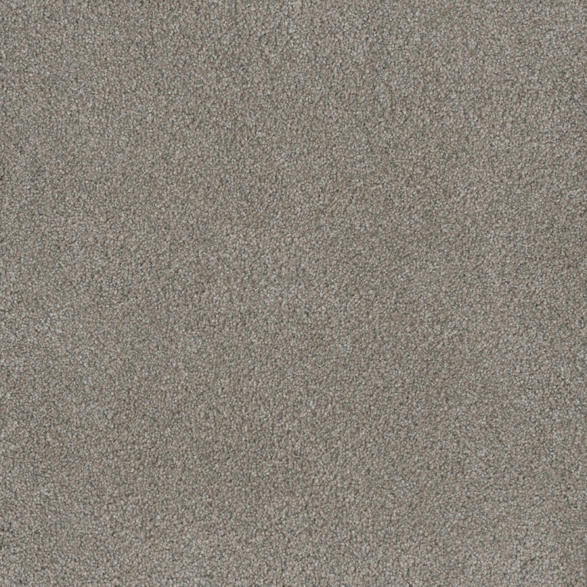 MONTE CARLO I