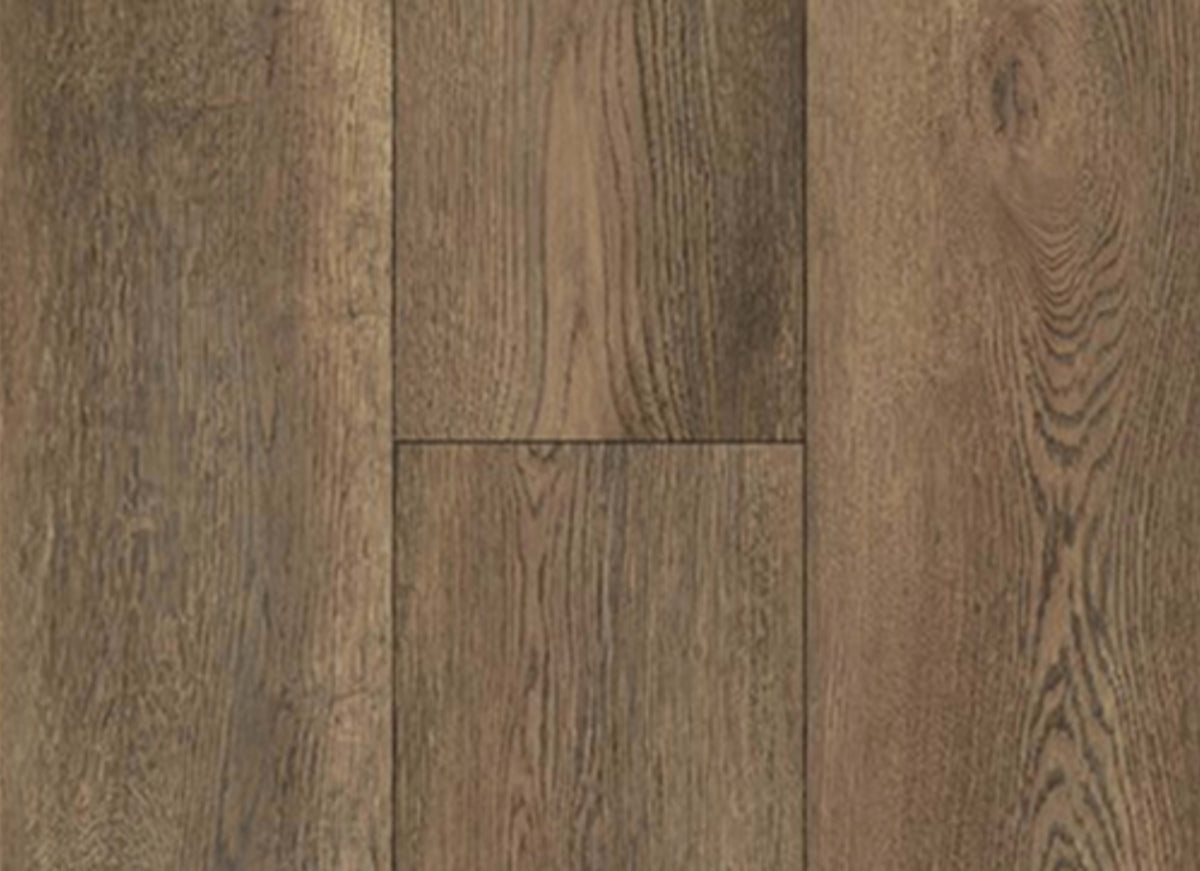 Equity Plank in Saddle