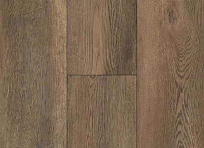 Equity Plank in Saddle