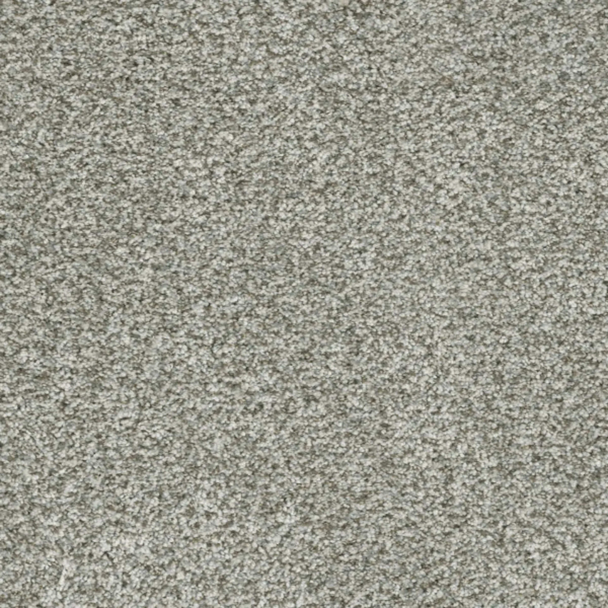 Brazen I in Purity Carpet