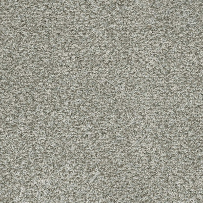 Brazen I in Purity Carpet