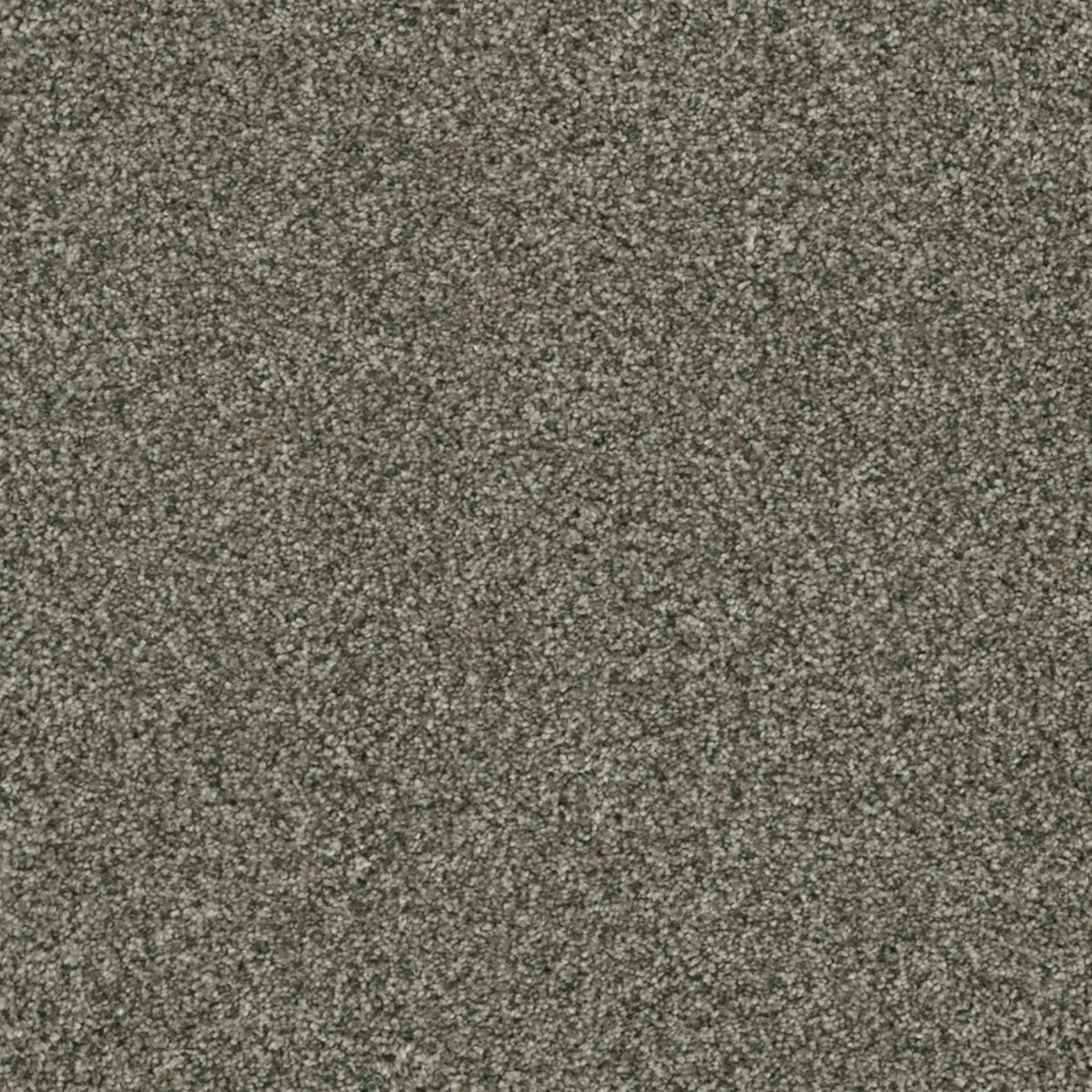 Brazen II