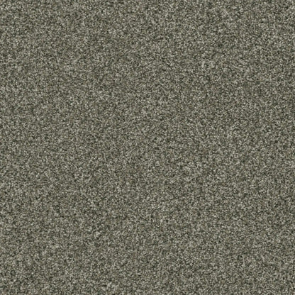 Brazen II