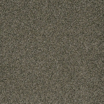 Brazen II in Smokestack Carpet