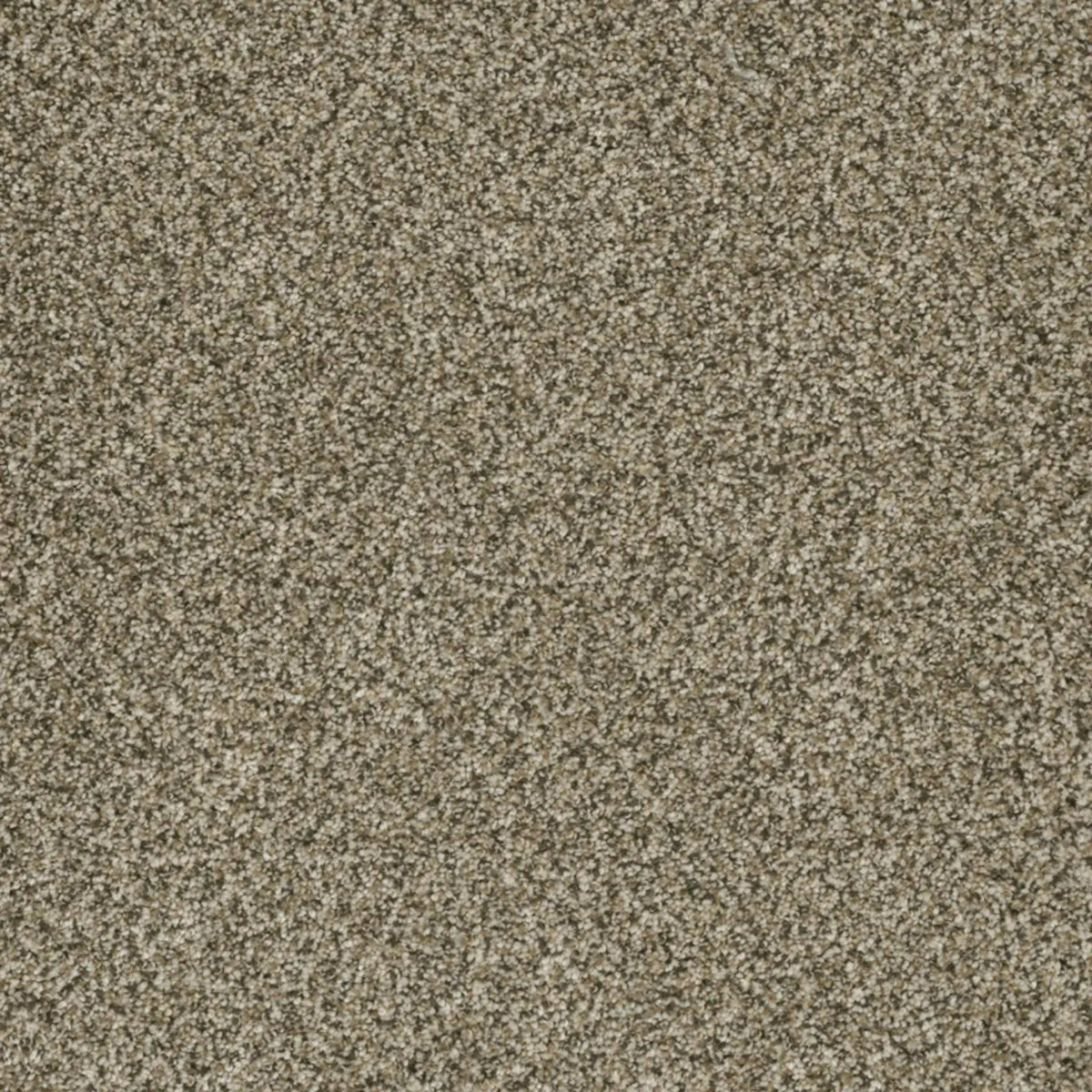 Brazen II