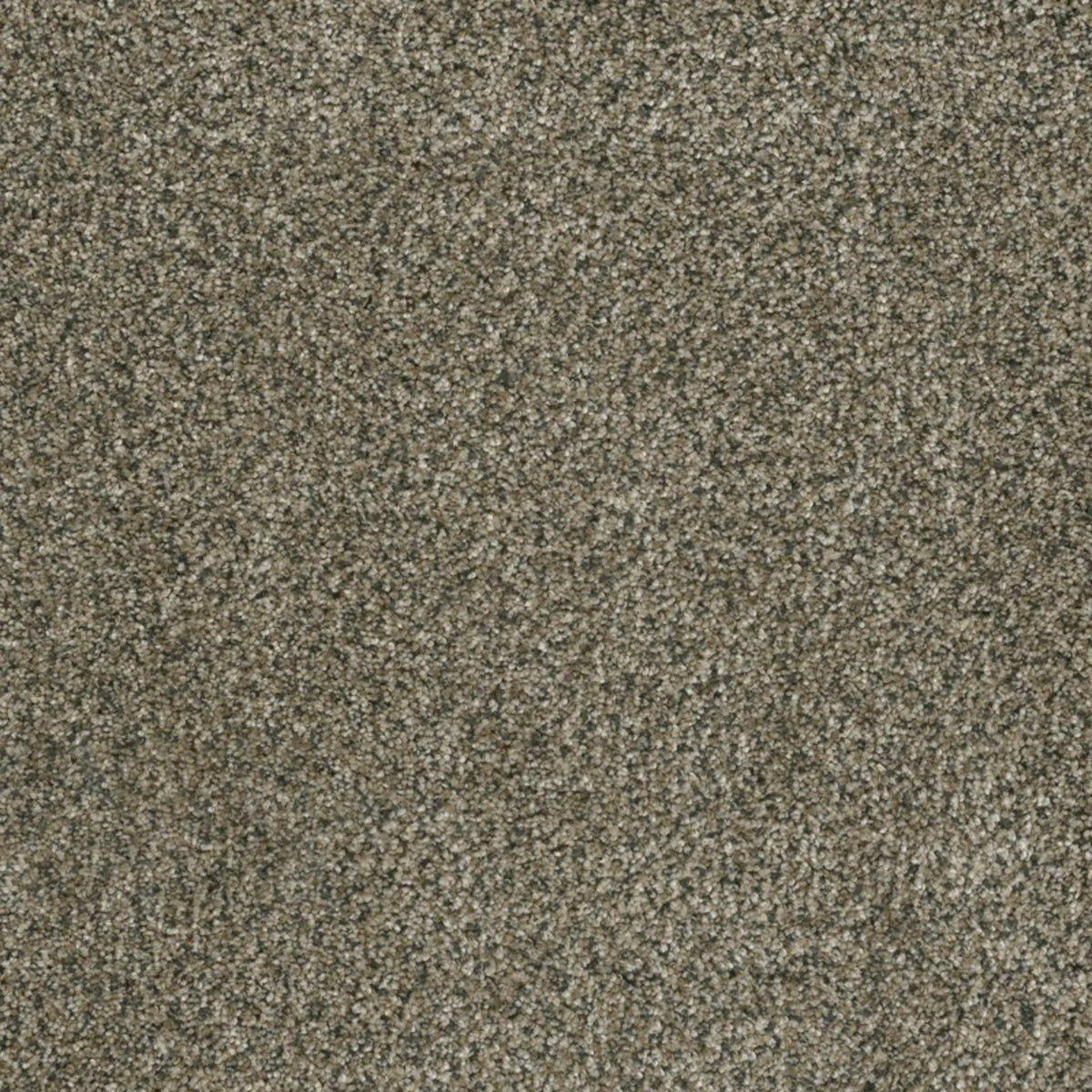 Brazen II