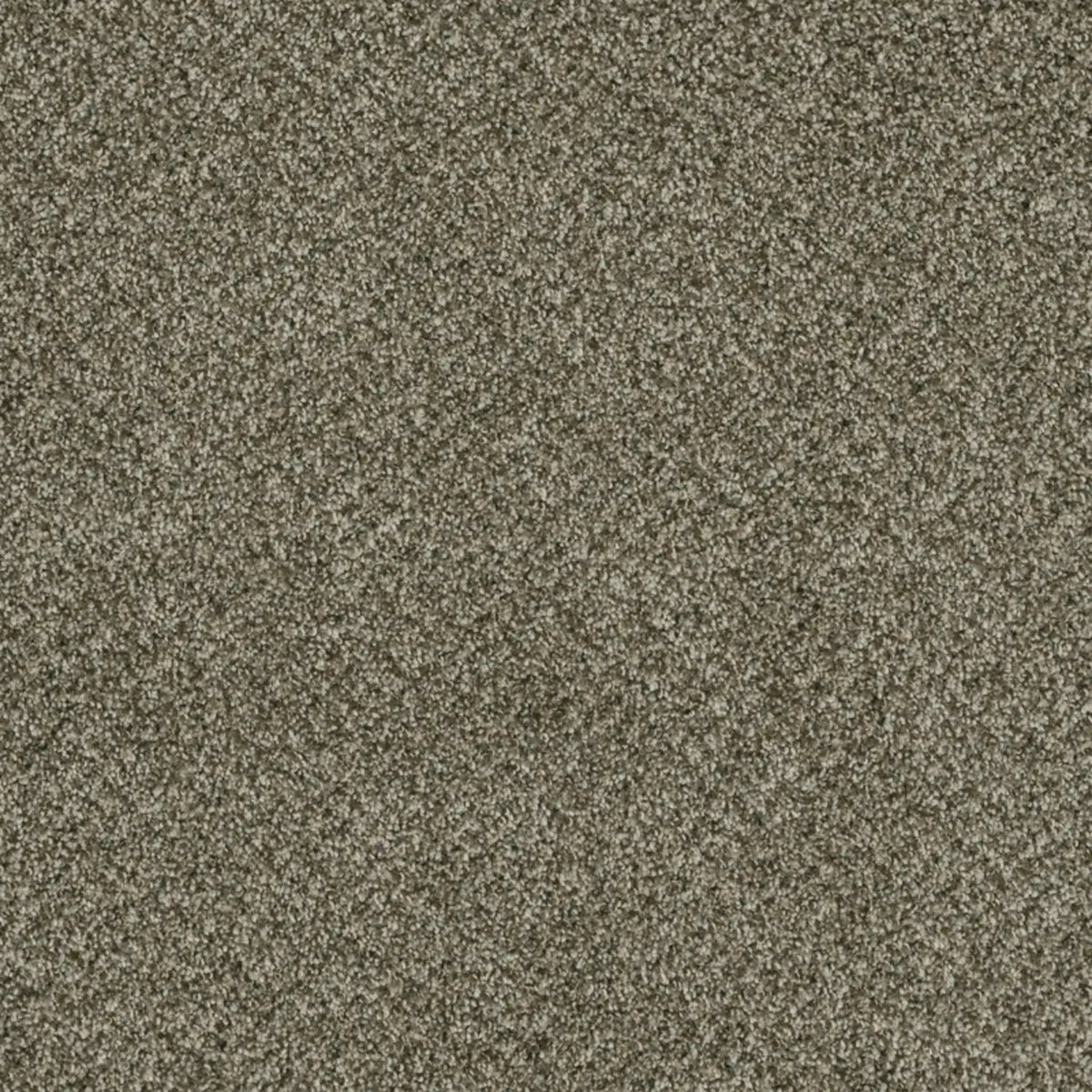 Brazen II