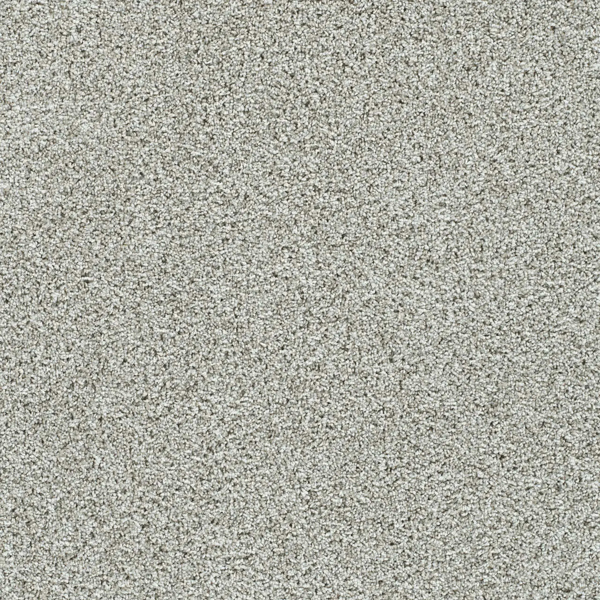 Autumn Glow III in Cloudland Carpet