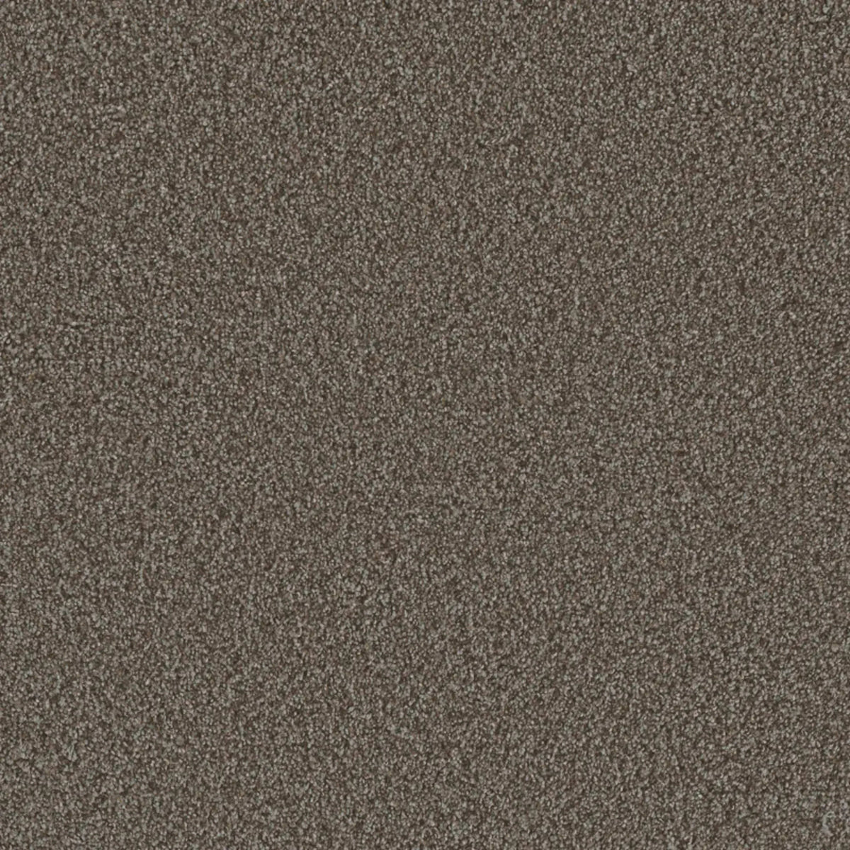Metropolis I