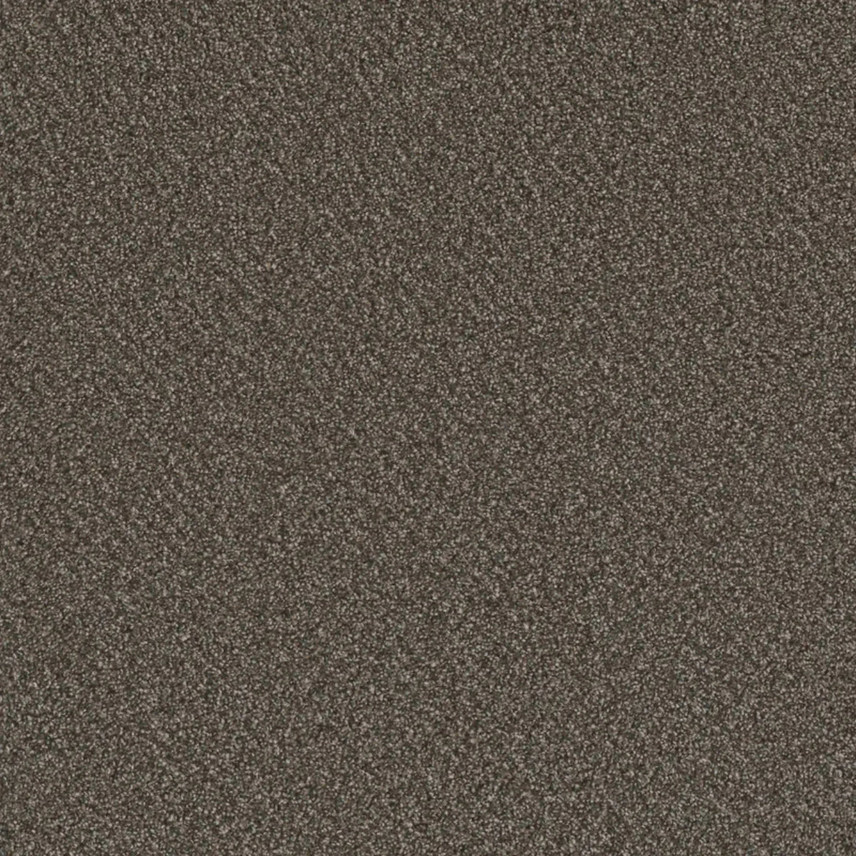 Metropolis I