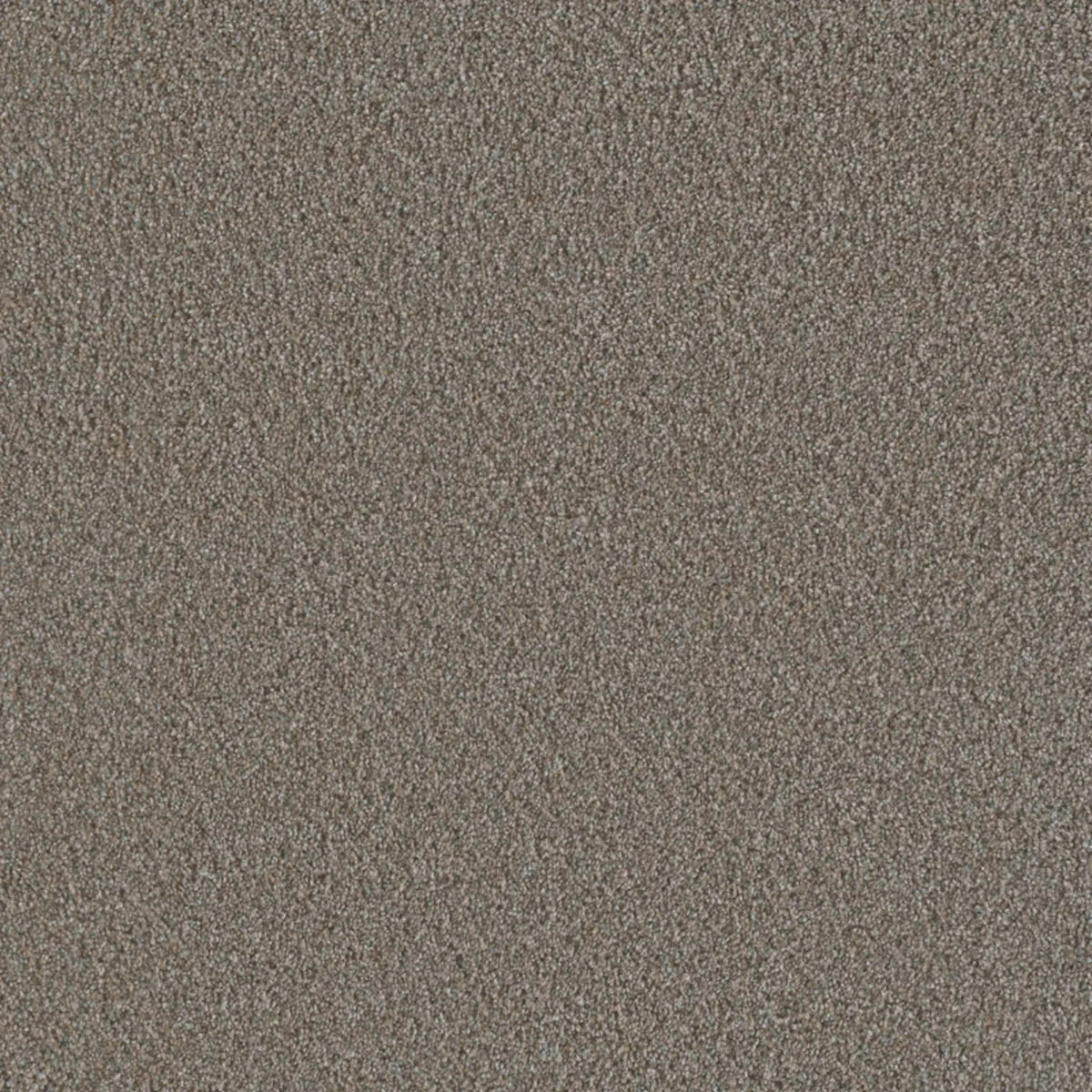 Metropolis III