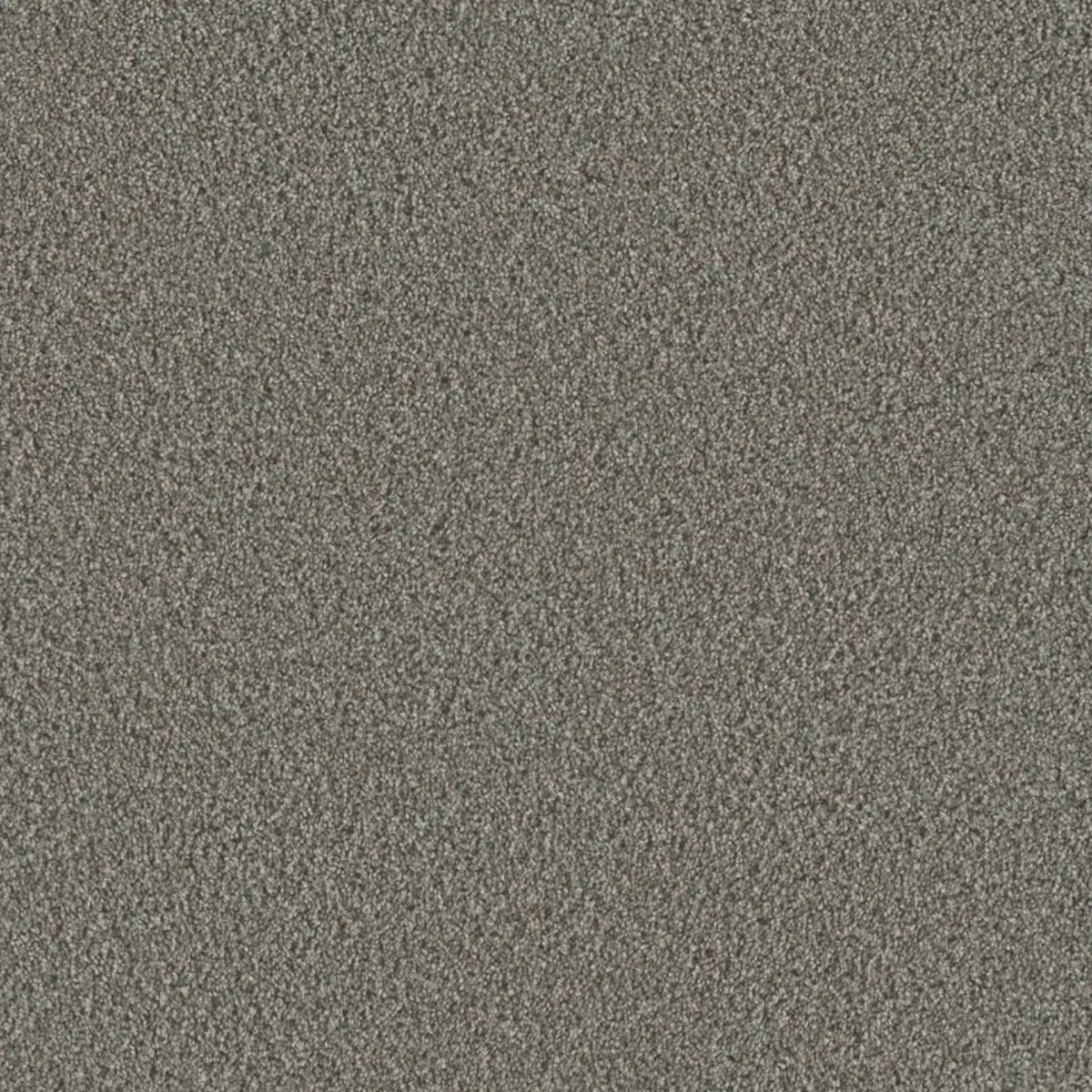 Metropolis III