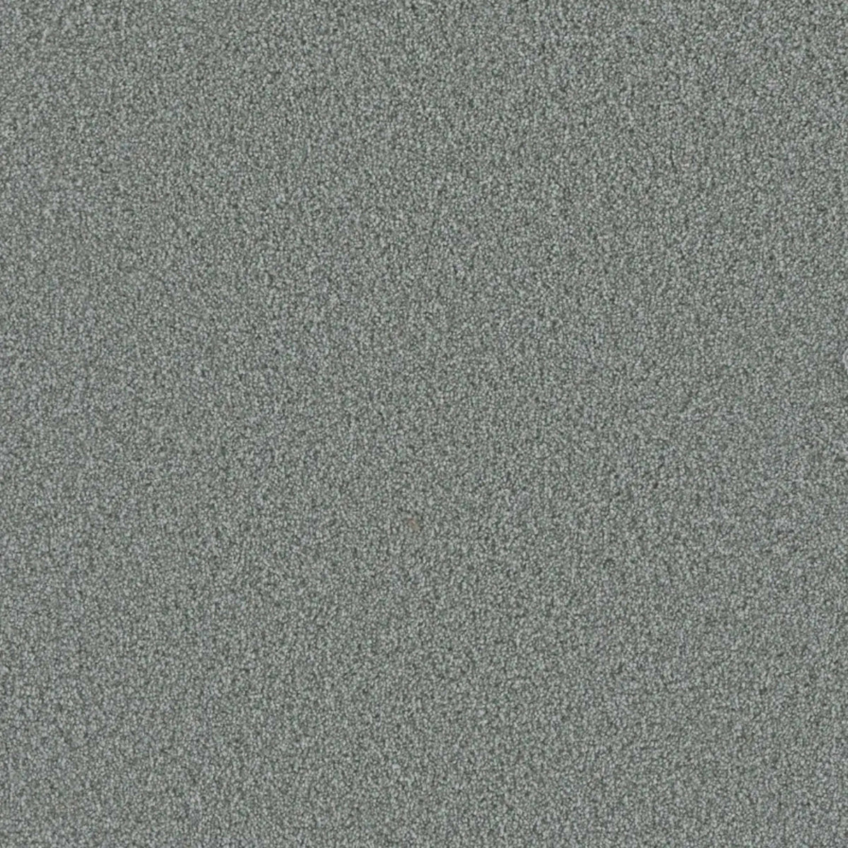 Metropolis III