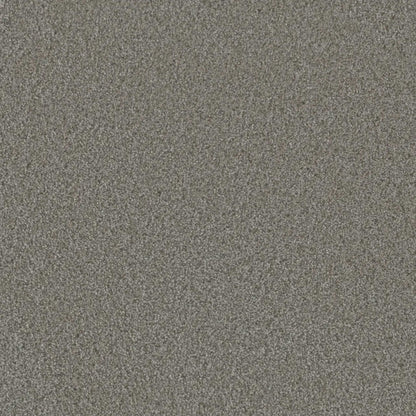 Metropolis III