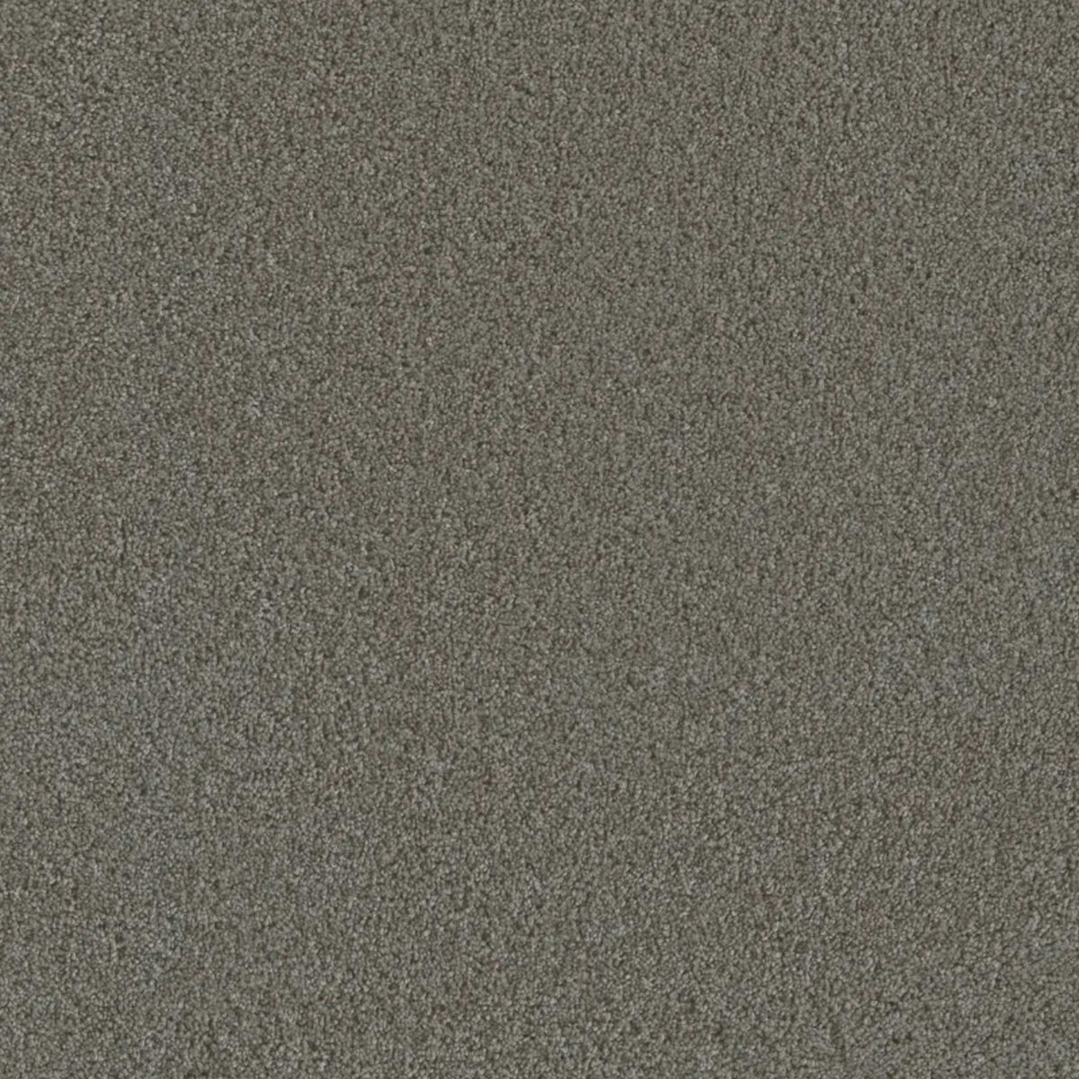 Metropolis III