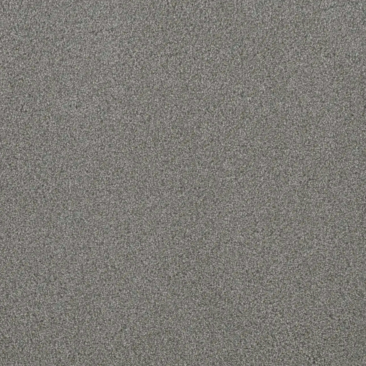 Metropolis III
