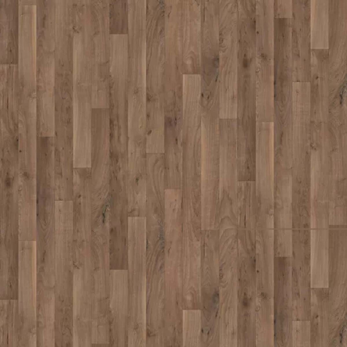 Tempris in Almond Oak Vinyl Sheet Goods