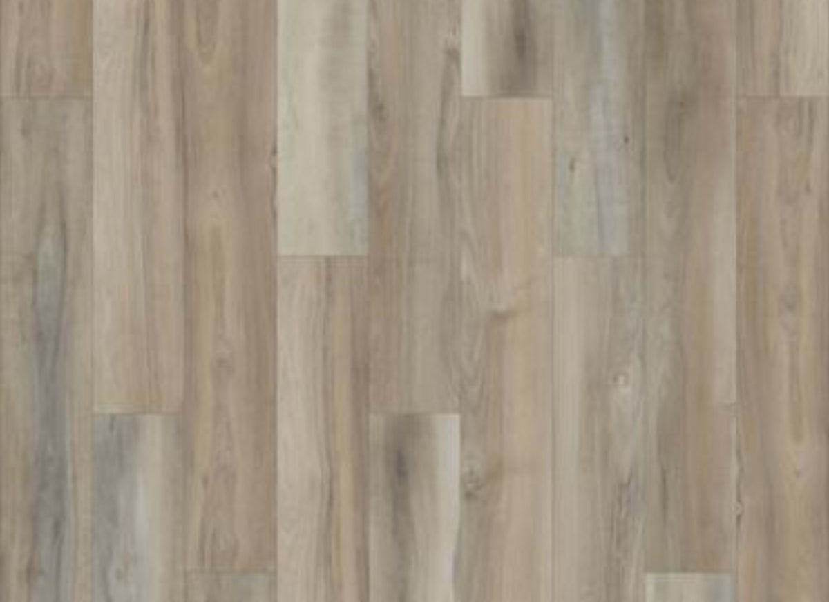 Lookout Trace in Cathedral Grey
