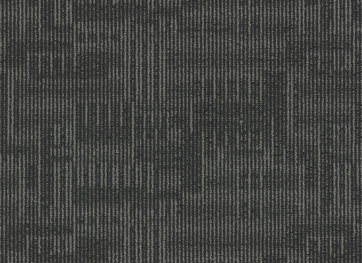 Echo Plank
