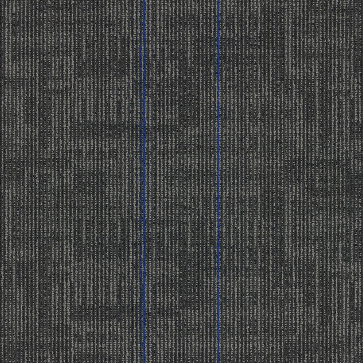 Echo Plank