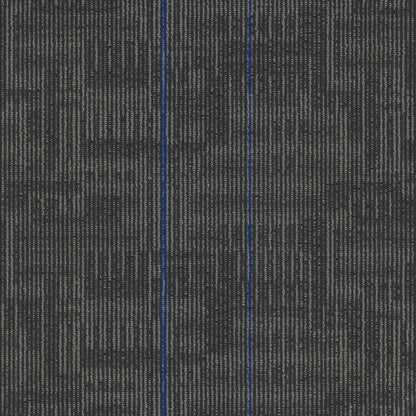 Echo Plank