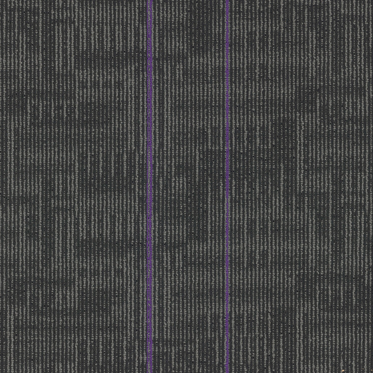 Echo Plank