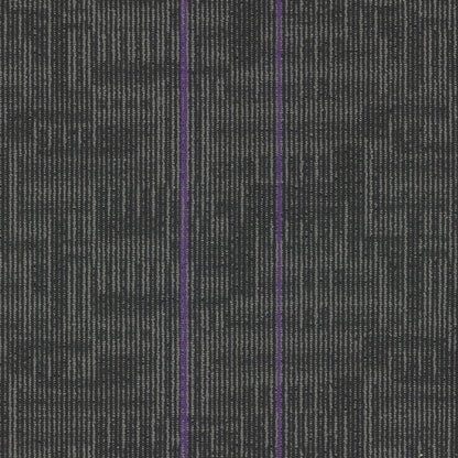 Echo Plank