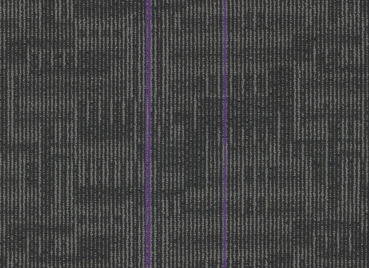 Echo Plank