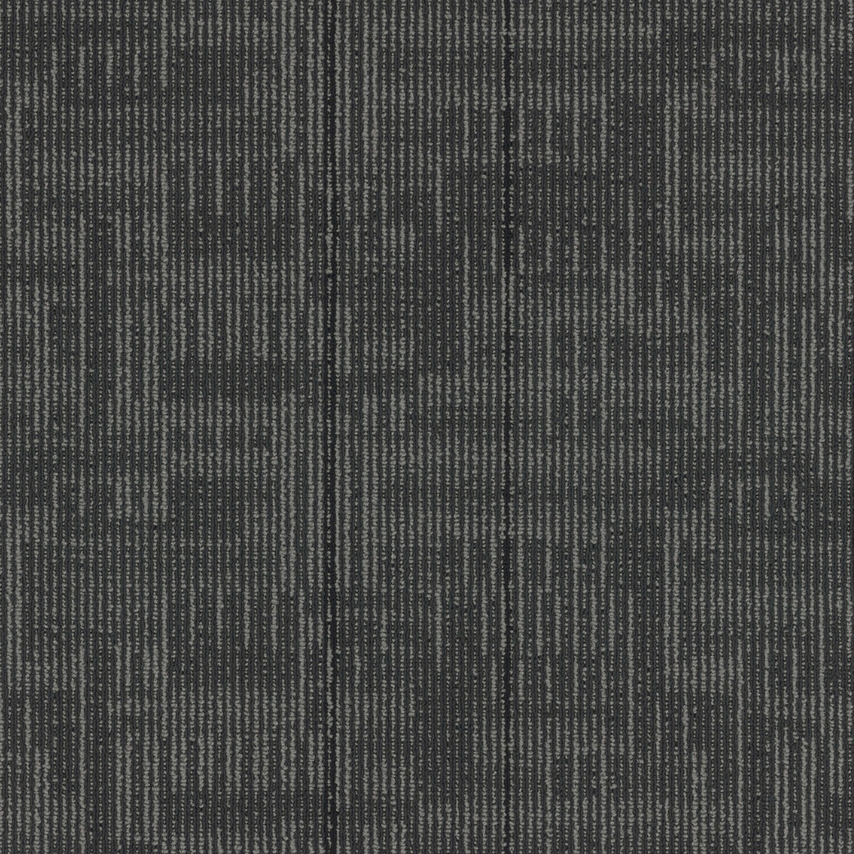Echo Plank