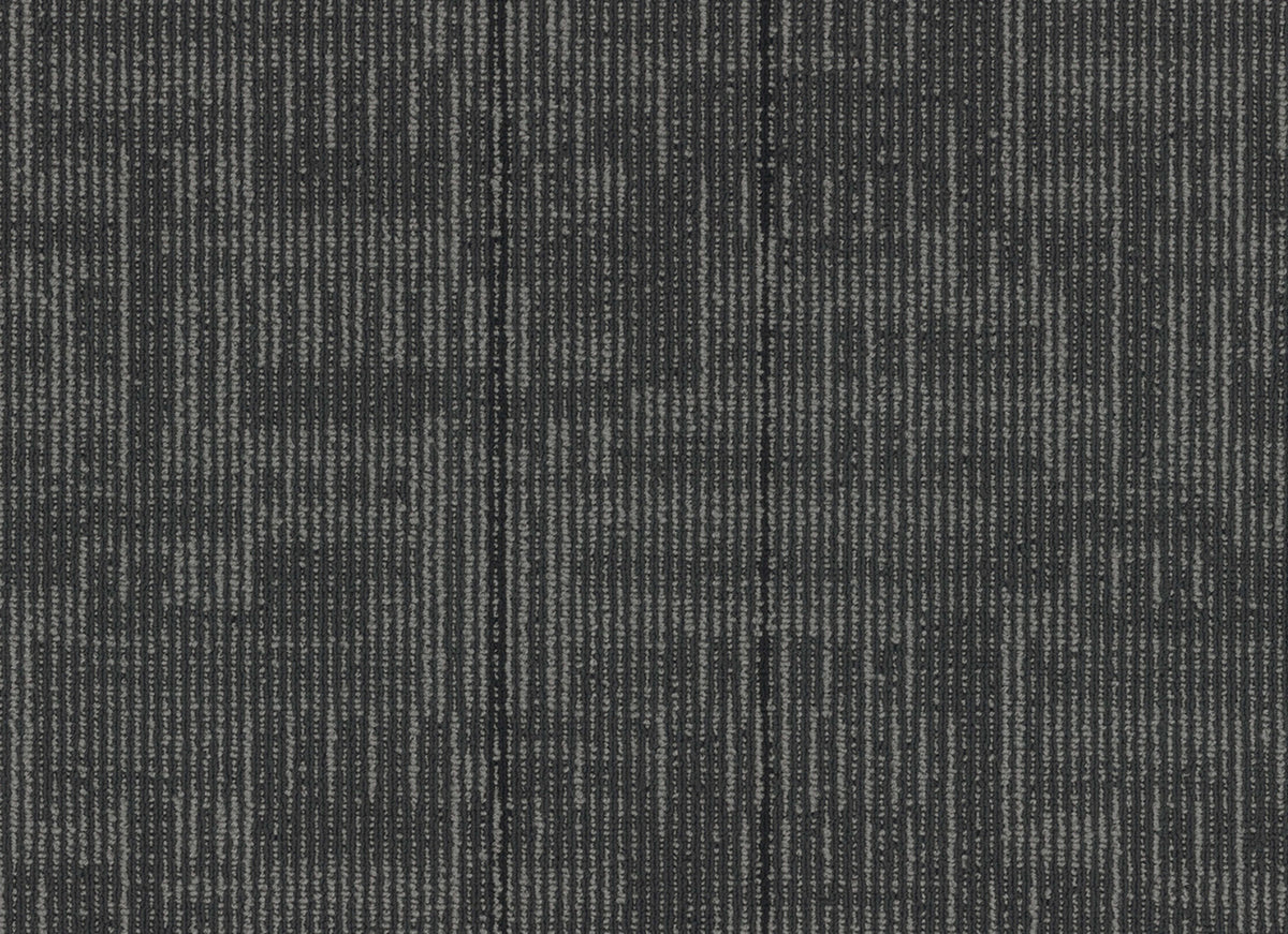 Echo Plank