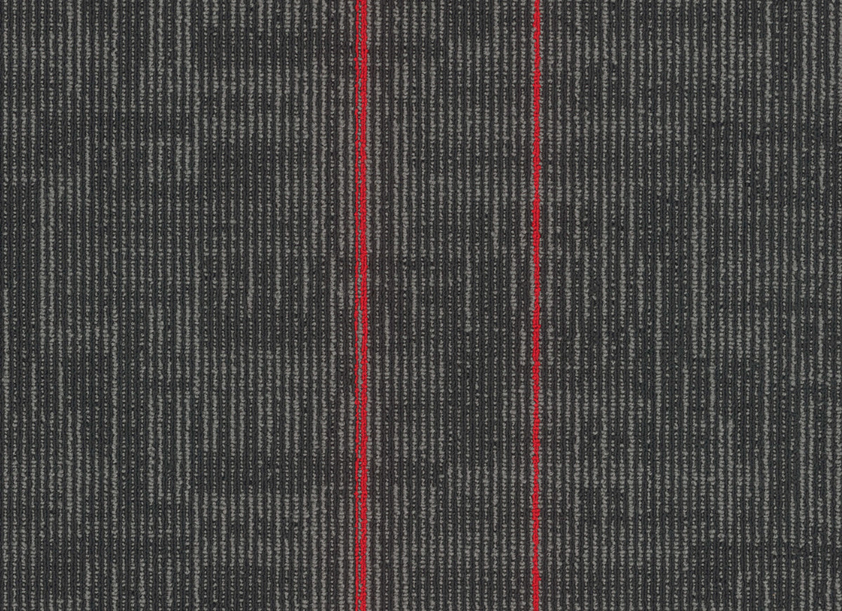 Echo Plank