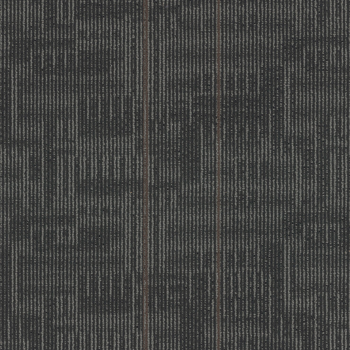 Echo Plank