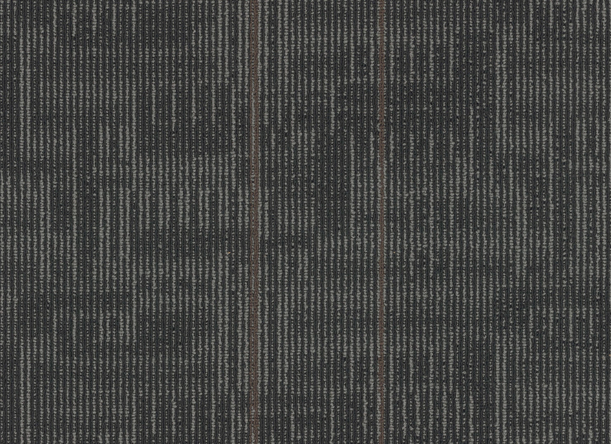 Echo Plank