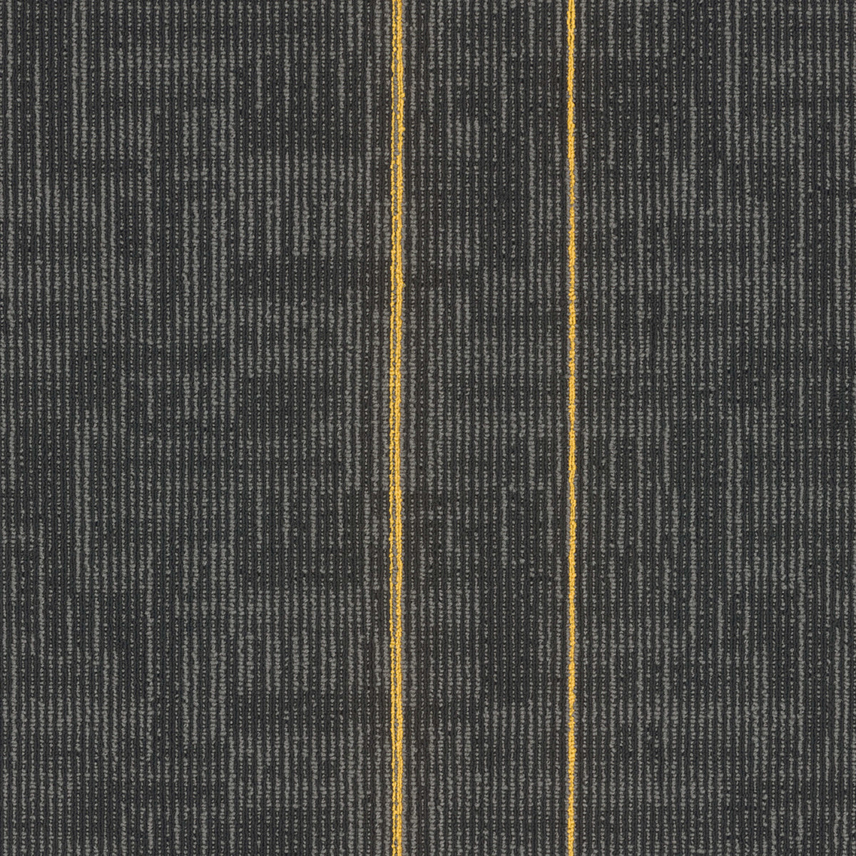 Echo Plank