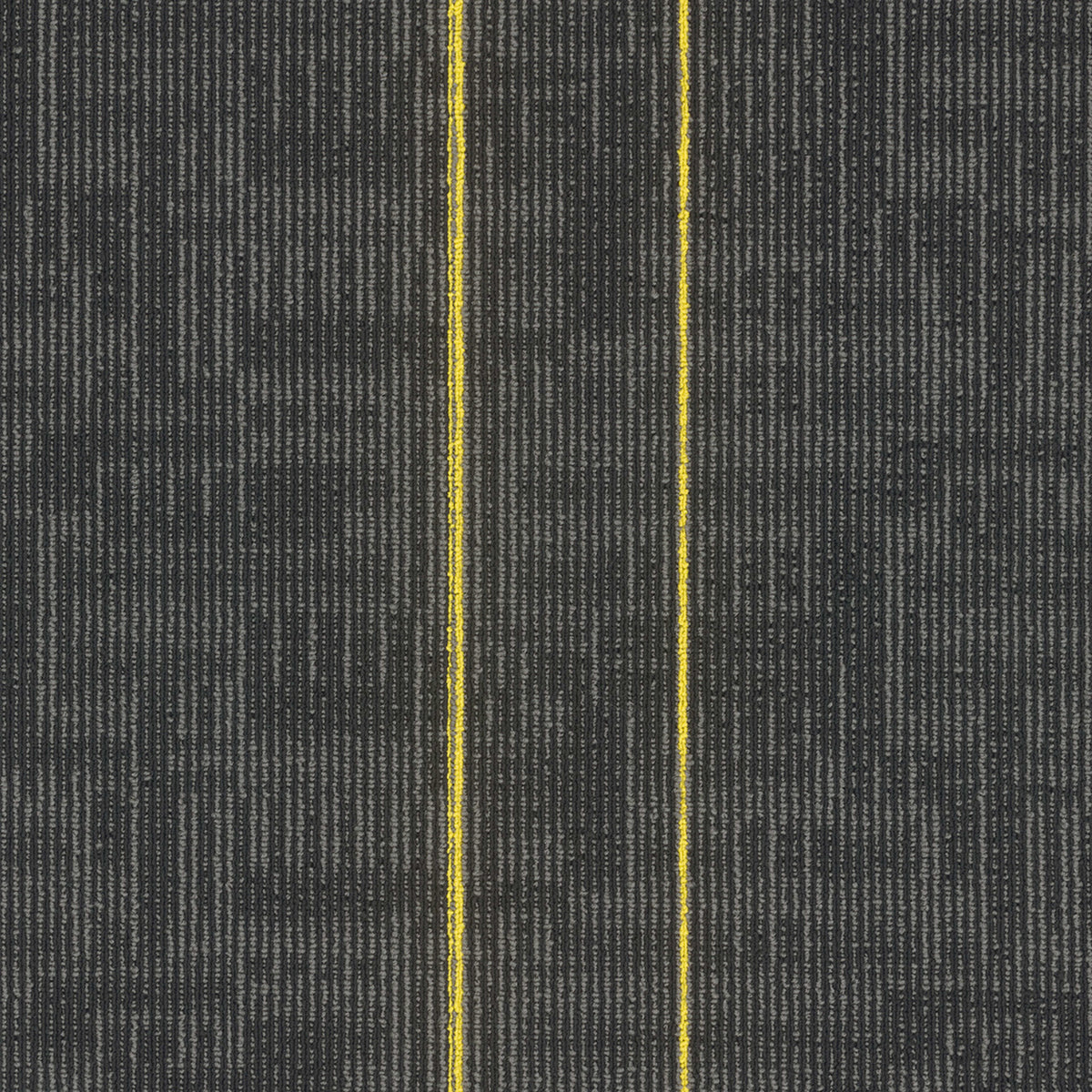 Echo Tile