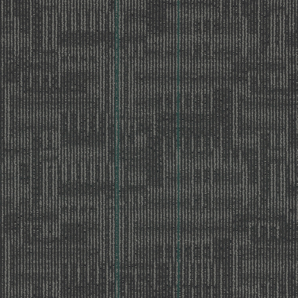 Echo Plank