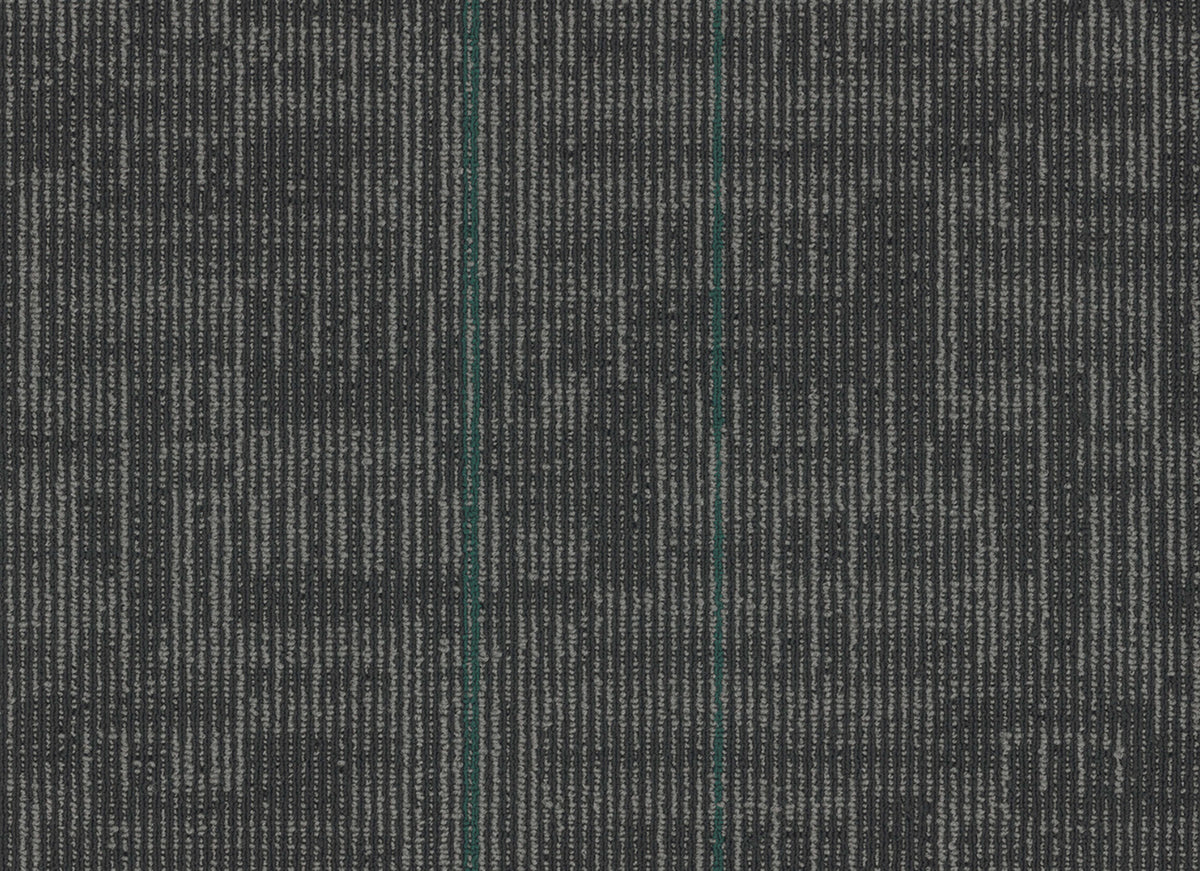 Echo Plank