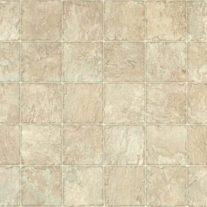 Jumpstart - Tibetan Slate in Desert Blush And Beige Vinyl Sheet Goods