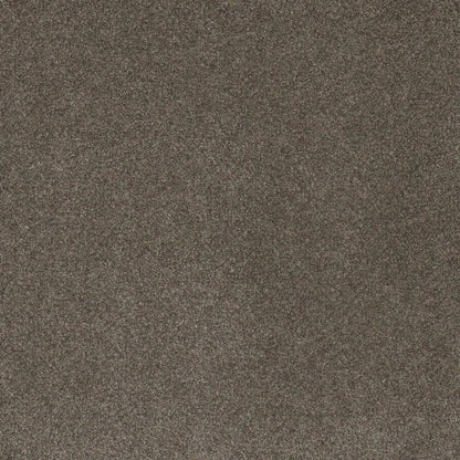 Serene I in Mulberry Carpet