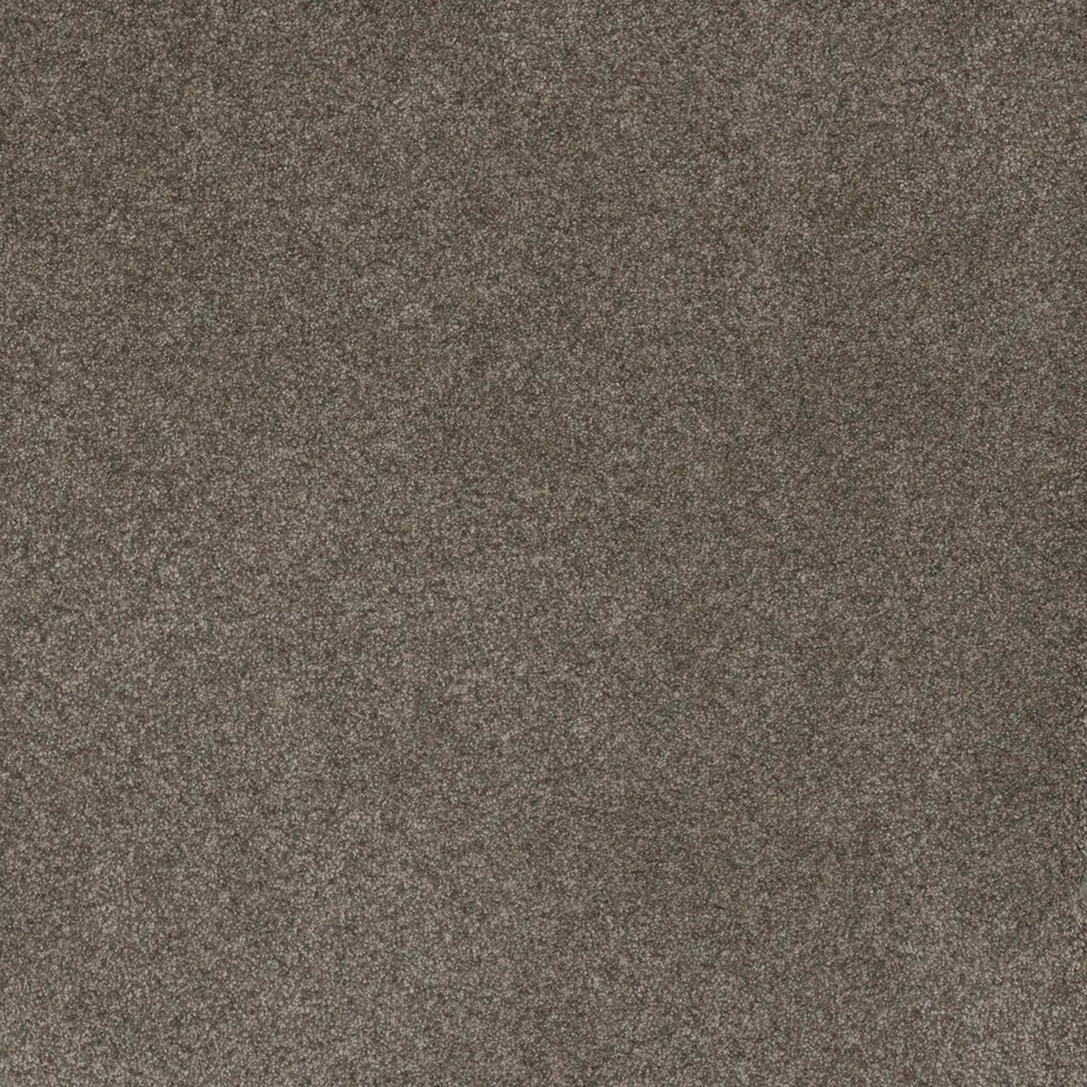 Serene I