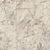 Alterna Coronis Marble in Morning Dove 12" X 24" Luxury Vinyl