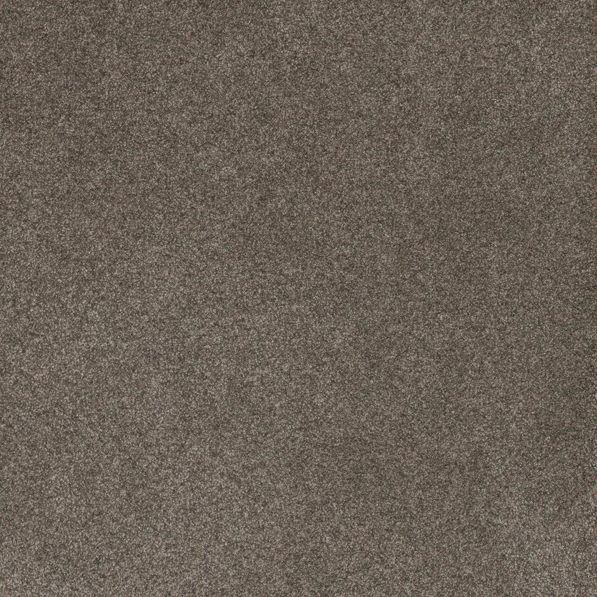 Serene III in Ridgeview Carpet